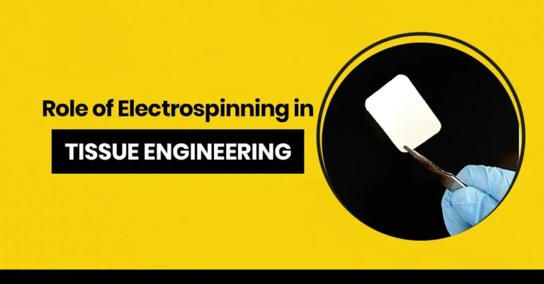 The Role of Electrospinning in Tissue Engineering - Electrospintek